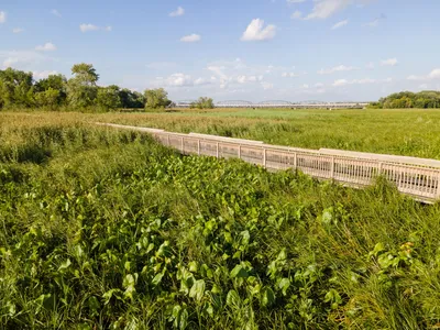 Explore the lush greenery and boardwalk of a Bloomington, MN nature trail under a bright summer sky.